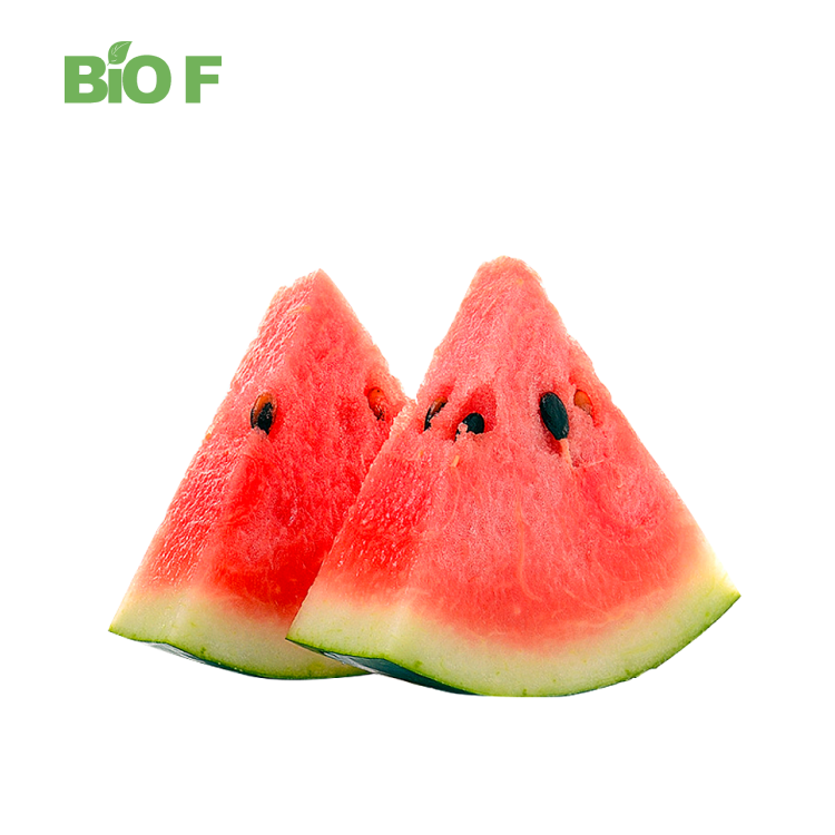 Watermelon Powder Freeze Dried Watermelon Powder