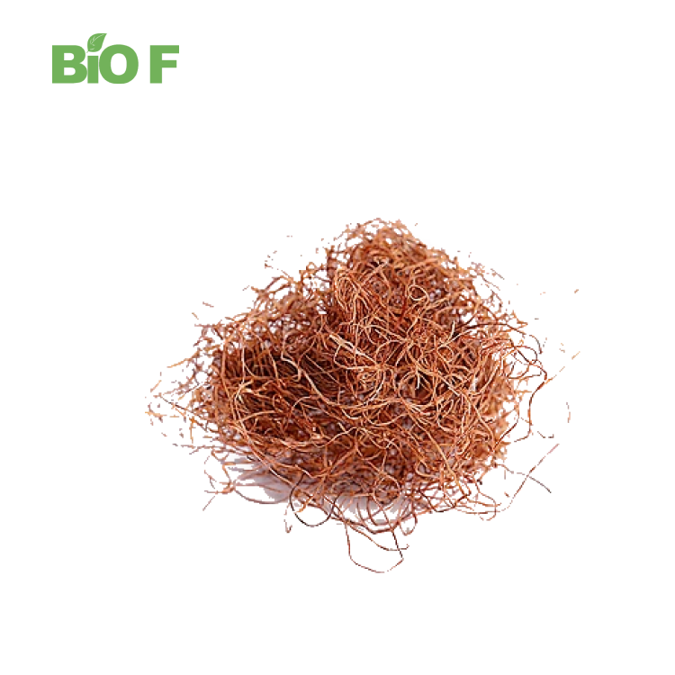 Factory Direct Corn Silk Extract Myo Inosito Corn Extract Powder