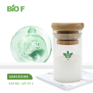 Factory Supply Sarcosine Powder CAS 107-97-1
