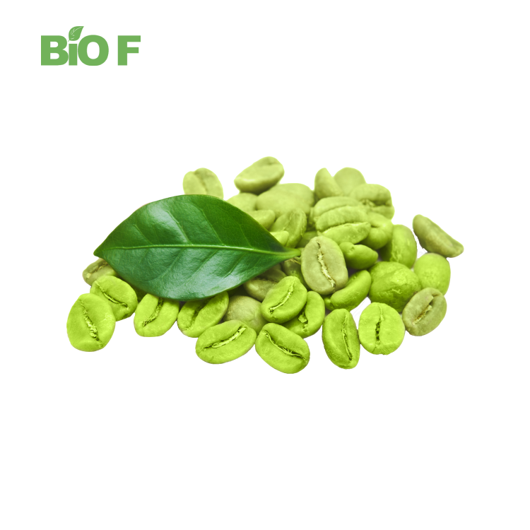 Chlorogenic Acid Powder Wholesale Bulk Green Coffee Bean Extract 50% Chlorogenic Acid