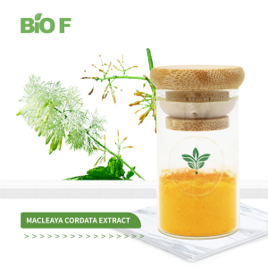 Hot Selling Food Grade Macleaya Cordata Extract Macleaya Cordata Powder 40%-60% Sanguinarine in Bulk