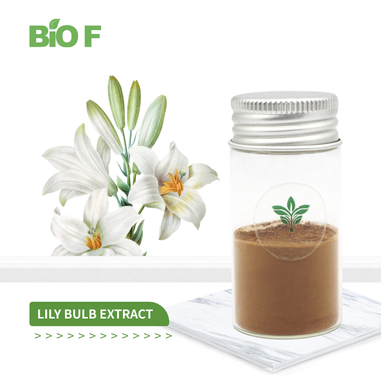 Top Quality Lily Extract Powder Herb Supplement Lily Bulb Extract Powder