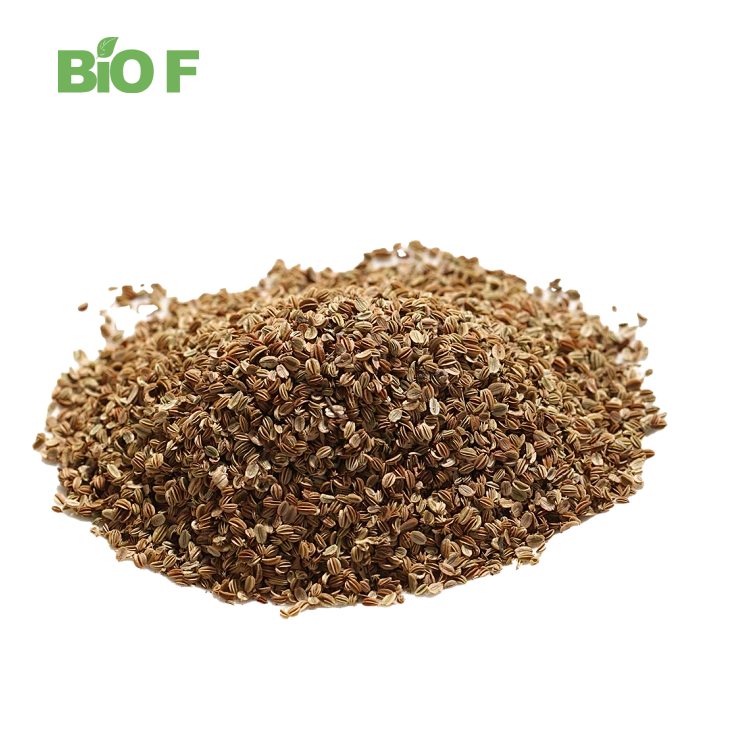 Healthcare Supplement Celery Seed Extract Apigenin Extract Powder in Bulk