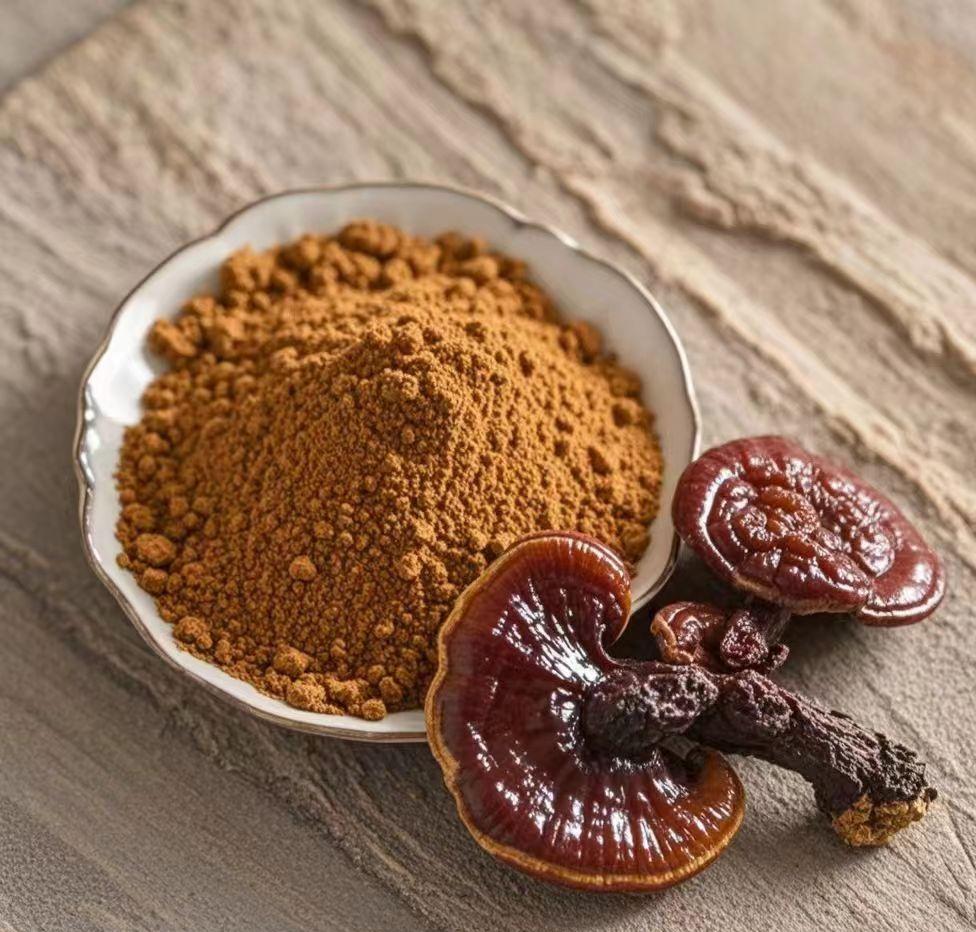 What are the Benefits of Ganoderma Lucidum Extract?