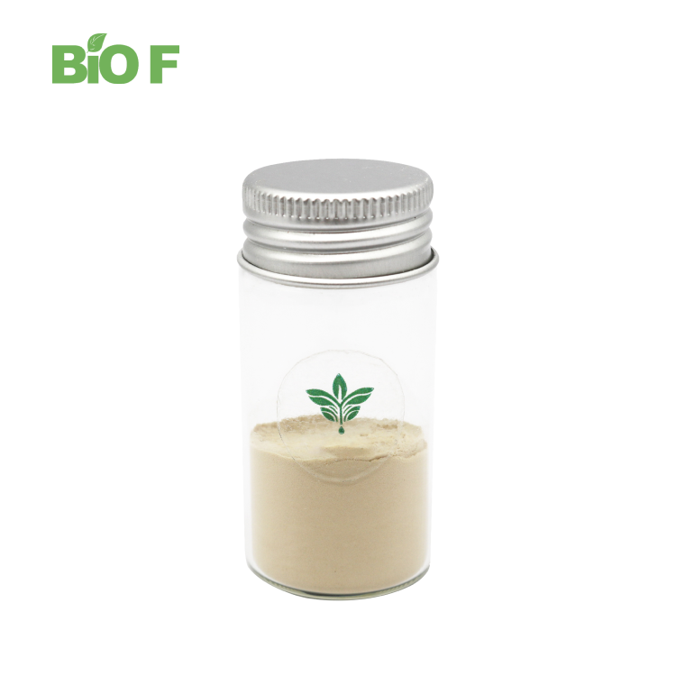 Wholesale Natural Camellia Oleifera Seeds Extract 90% Tea Saponin Powder