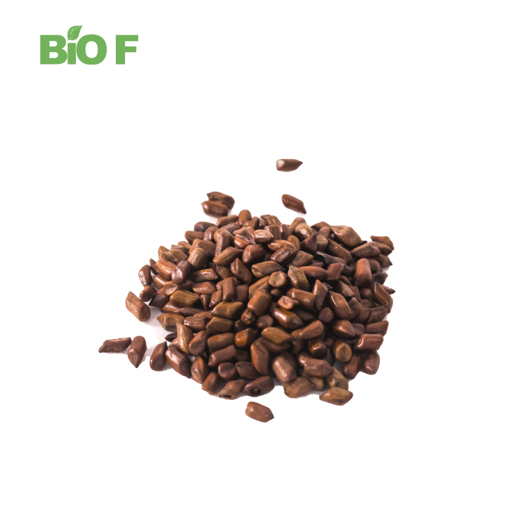 Herbal Extract Cassia Seed Extract Powder Bulk Natural Cassia Seed Extract