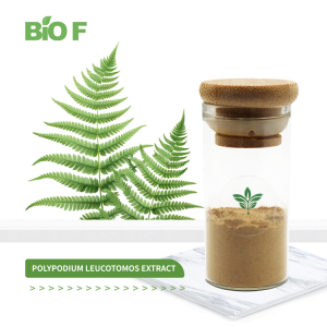 High Quality Pure Polypodiodes Niponica Powder 20:1 Polypodium Leucotomos Extract for Sale