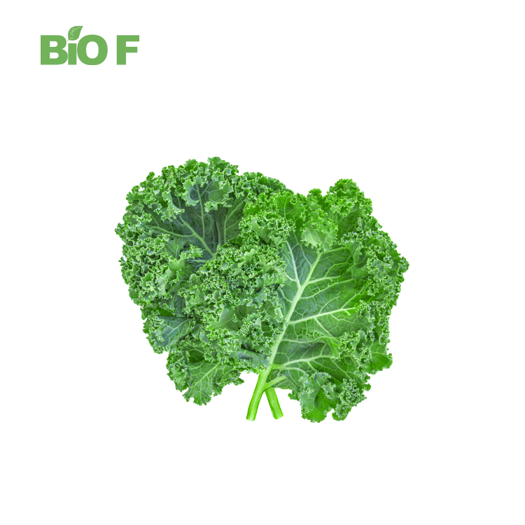 Natural Food Grade Vegetable Powder Dried Kale Extract Kale Powder