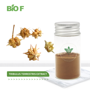 High Quality Tribulus Terrestris Extract Pure Natural 40% Saponins Tribulus Terrestris Powder