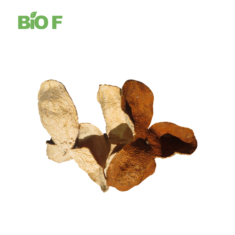 Natural Pomegranate Peel Extract Powder 90% Ellagic Acid Powder Top Quality