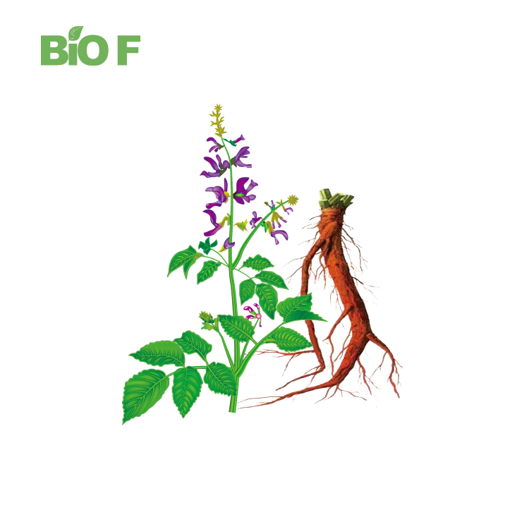 Pure Salvia Miltiorrhiza Extract 80% Salvianolic Acid B Powder Best Price Salvianolic Acid B