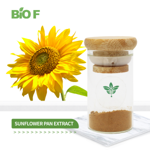 Natural 10:1 Sunflower Pan Extract Powder in Bulk