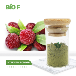 Health Care Supplement Natural Myricetin Extract Myricetin Powder