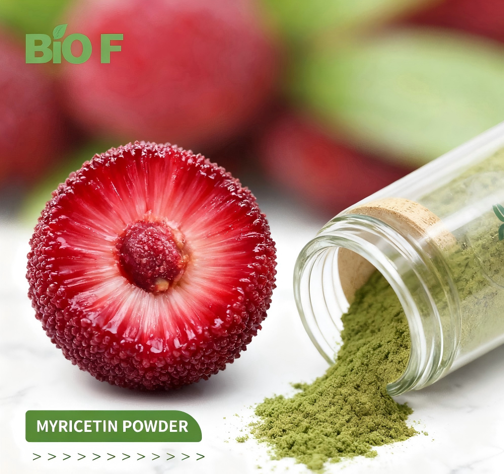 What is Myricetin Used for?
