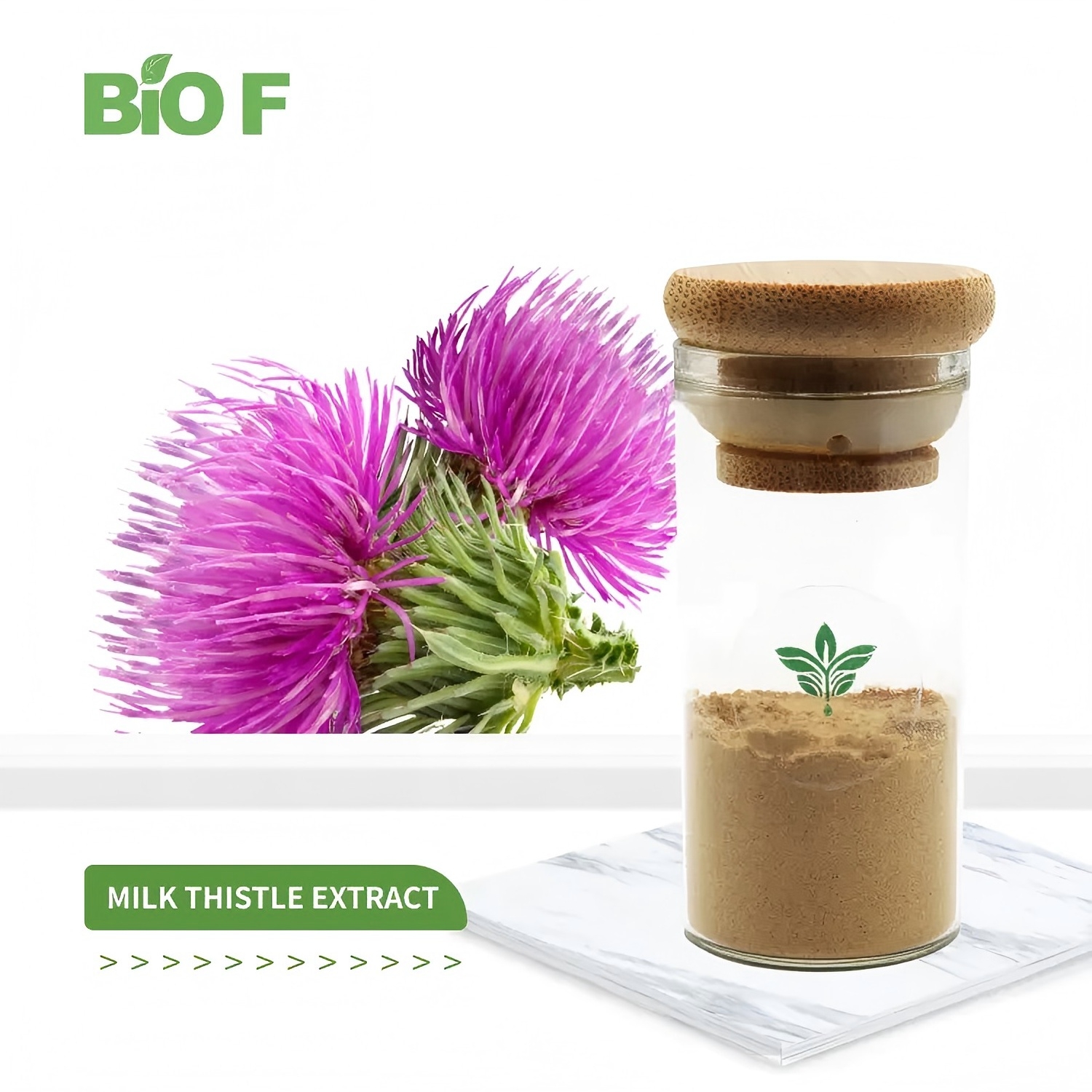 Silybum Marianum Extract: From Mediterranean Herb to Revolutionary Ingredient for Modern Precision Liver Protection