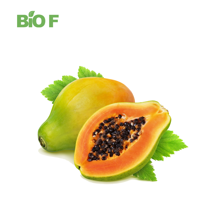 Best Selling Papaya Powder Yellow Papaya Powder Papaya Extract Powder