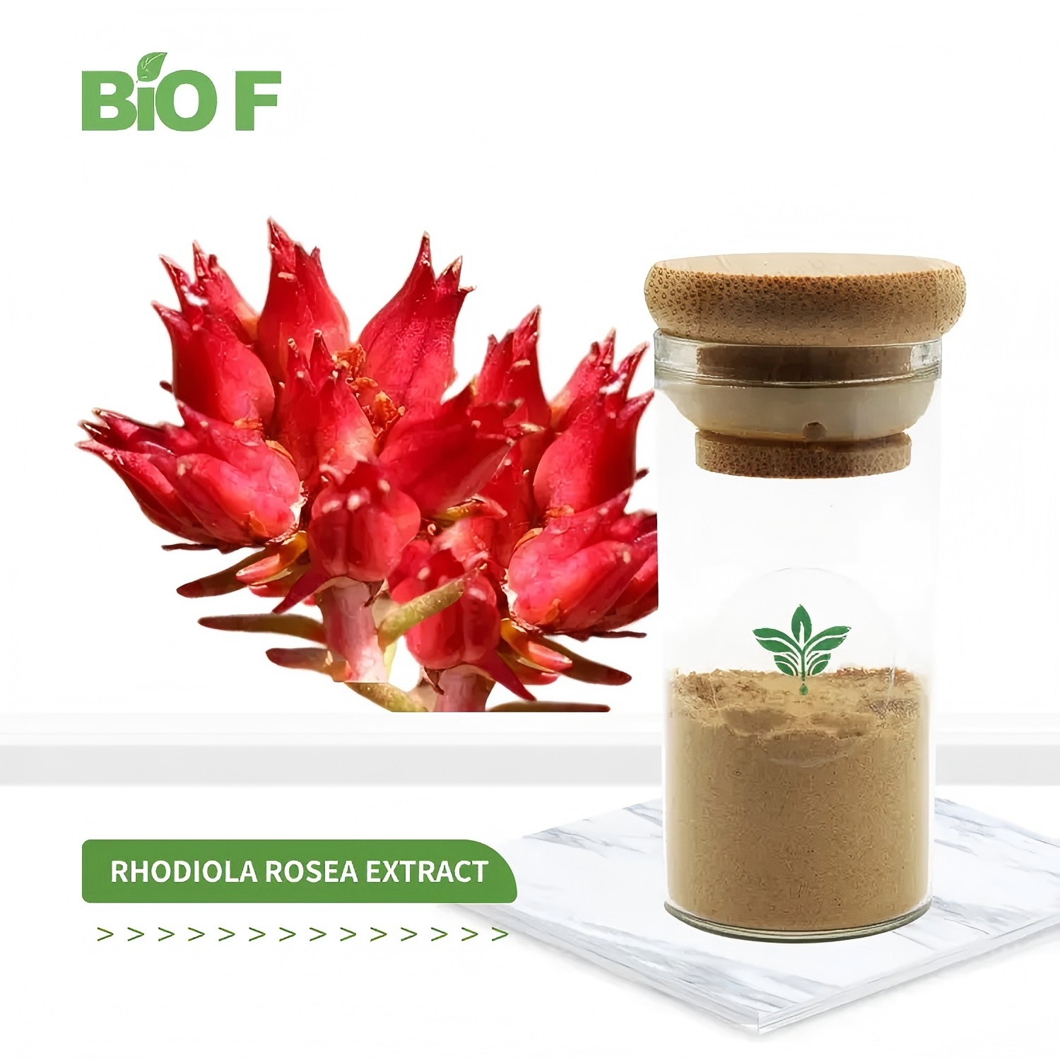 Rhodiola Rosea Extract: The “Anti-Stress Guardian” from the Polar Regions, Empowering Physical and Mental Balance