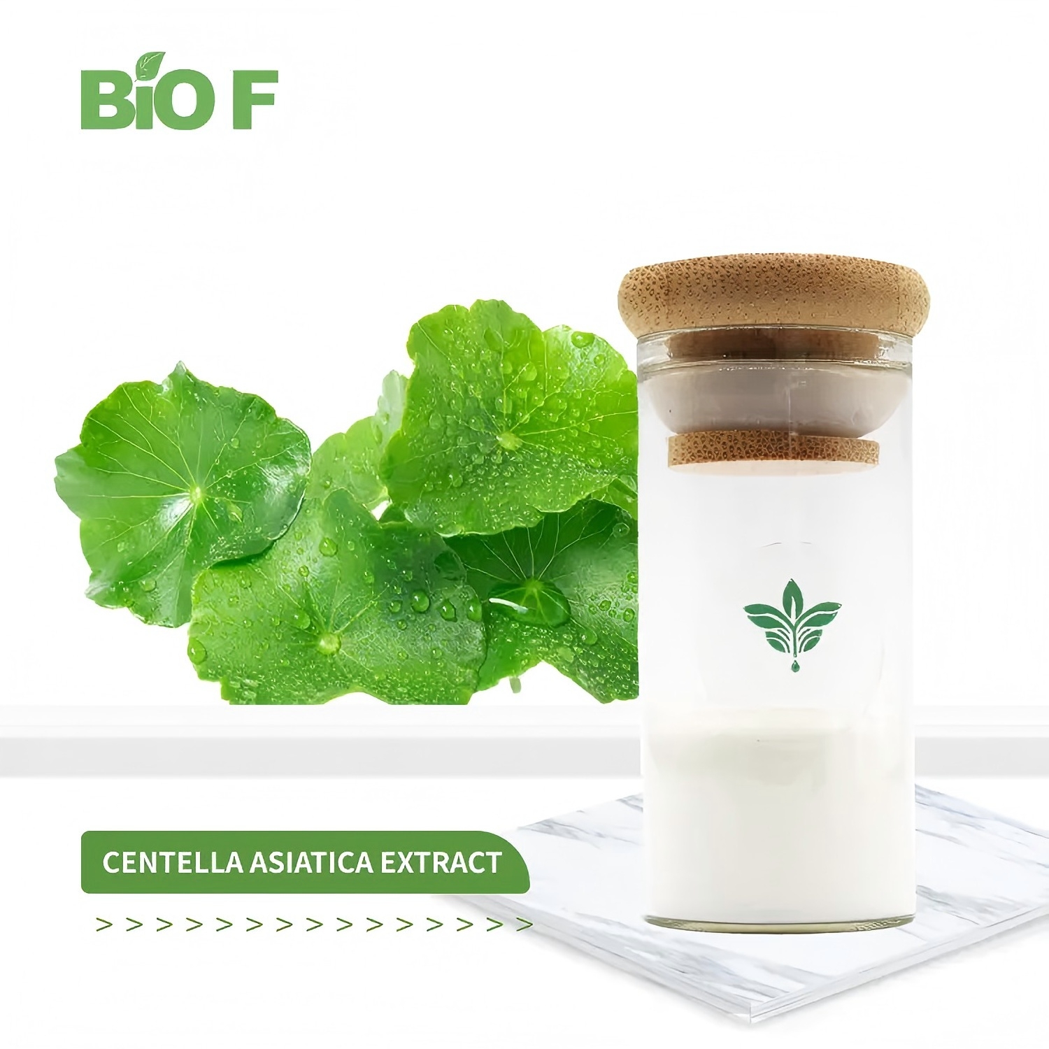 Centella Asiatica Extract: A Repairing Essence from the “Grass of Life” to Revitalize Skin, Physical and Mental Health