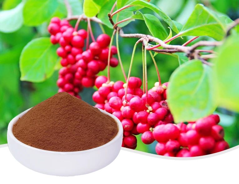 What is Schisandra Berry Extract Good for?
