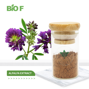 Alfalfa Extract Powder Premium Quality Pure Natural Medicago Sativa Extract with Free sample