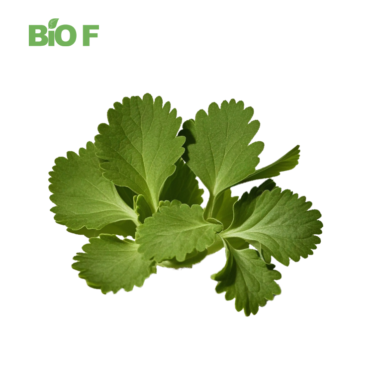 Wholesale Natural Herbal Supplement 10:1 Cat’s Claw Root Extract Powder in Bulk