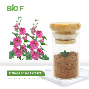 Quality Assurance Plant Extract Marshmallow Leaf Powder 10:1 Althaea Rosae Powder