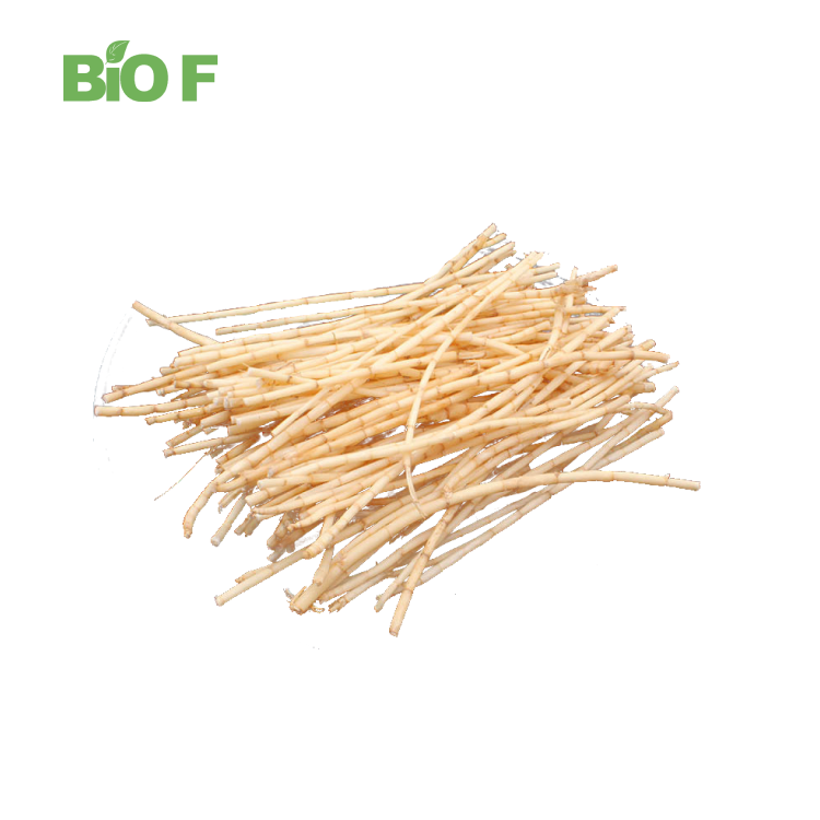 Natural Plant Extract Couch Grass Extract Powder 10:1 for Health Care