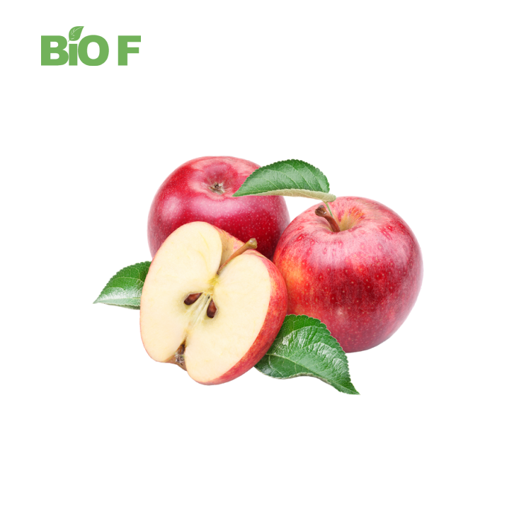 High Purity Apple Extract Apple Cider Vinegar Powder in Stock