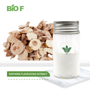Super Quality Sophora Flavescens Extract Matrine 98% Powder in Stock