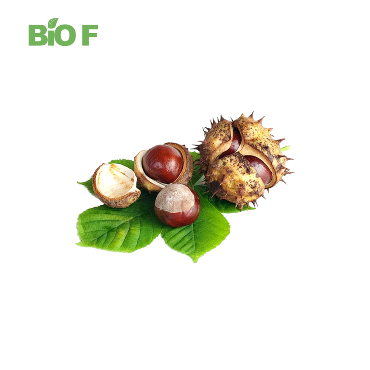 Wholesale Price Horse Chestnut Extract Powder Aescin 20%-40% Powder