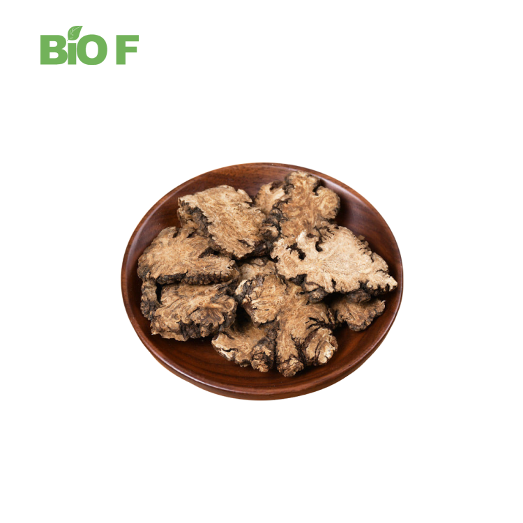 High Quality Natural Free Sample 30:1 Ligusticum Chuanxiong Extract