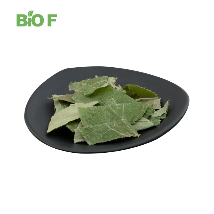 Natural Icariin 5% 10% 20% 60% 98% Horny Goat Weed Extract Powder Themra Epimedium Extract
