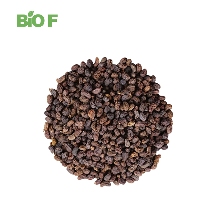 Ligustrum lucidum extract Ligustrum Lucidum Fruit 98% Oleanic Acid Powder in Bulk