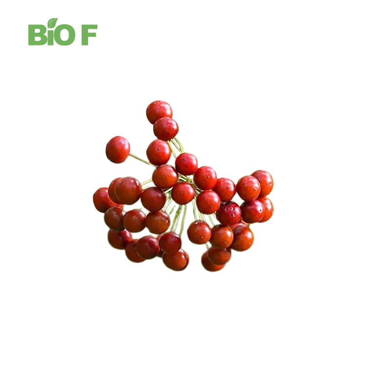 Wholesale Price Herb Supplement Sarsaparilla Root Extract Powder 10:1 Sarsaparilla Extract