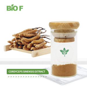 Pure Natural Health Care Cordyceps Sinensis Extract Powder in Bulk