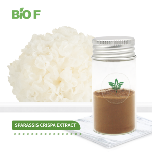 Natural Pure Sparassis Crispa Extract Best Price Sparassis Crispa Powder with Free Sample