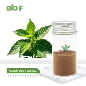 Wholesale Pure Natural Rumex Crispus Yellow Dock Extract Powder