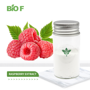 Wholesale High Quality Cosmetic Grade Pure Natural Raspberry Ketone Extract Powder
