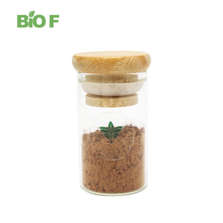 Wholesale Natural Pure Ivy Leaf Herbal Plant Extract Hederacoside C 10% Ivy Leaf Extract Powder