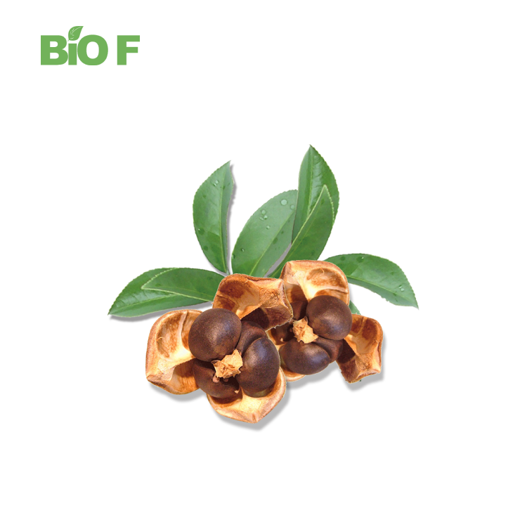 Natural Promote Digestion Herbal Extract Camellia Oleifera Seeds Extract Tea Saponin Powder