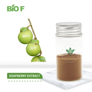 Hair Care 10:1 Soapberry Extract Powder Soapnuts Extract