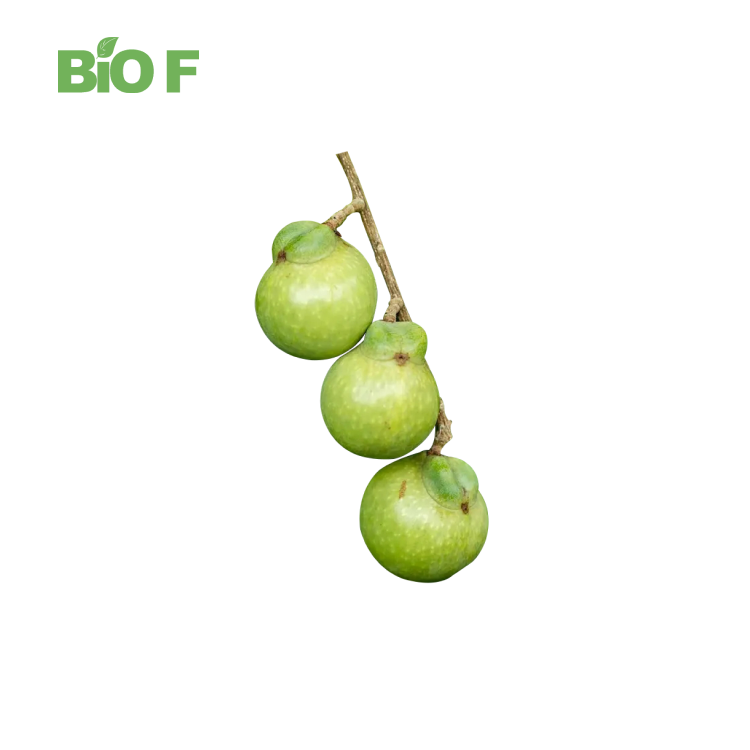 Hair Care 10:1 Soapberry Extract Powder Soapnuts Extract