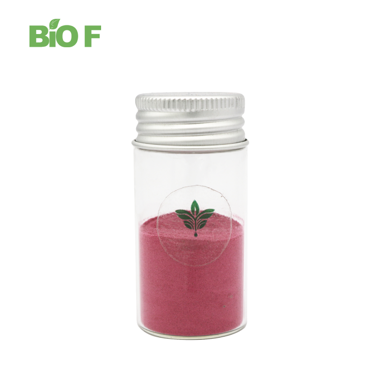 Food Grade Freeze Dried Red Pitaya Powder Red Dragon Fruit Powder