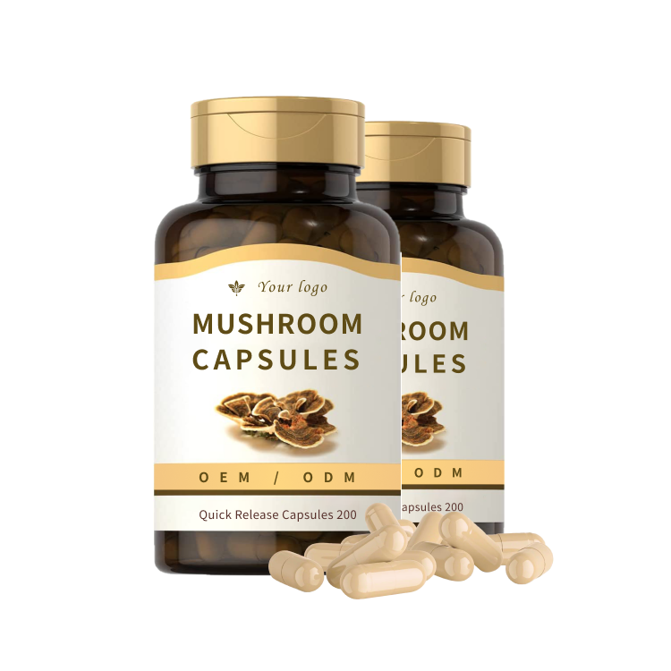BIOF Supply OEM Hot Selling Mushroom Capsules Healthcare Supplements Customized Various Capsules