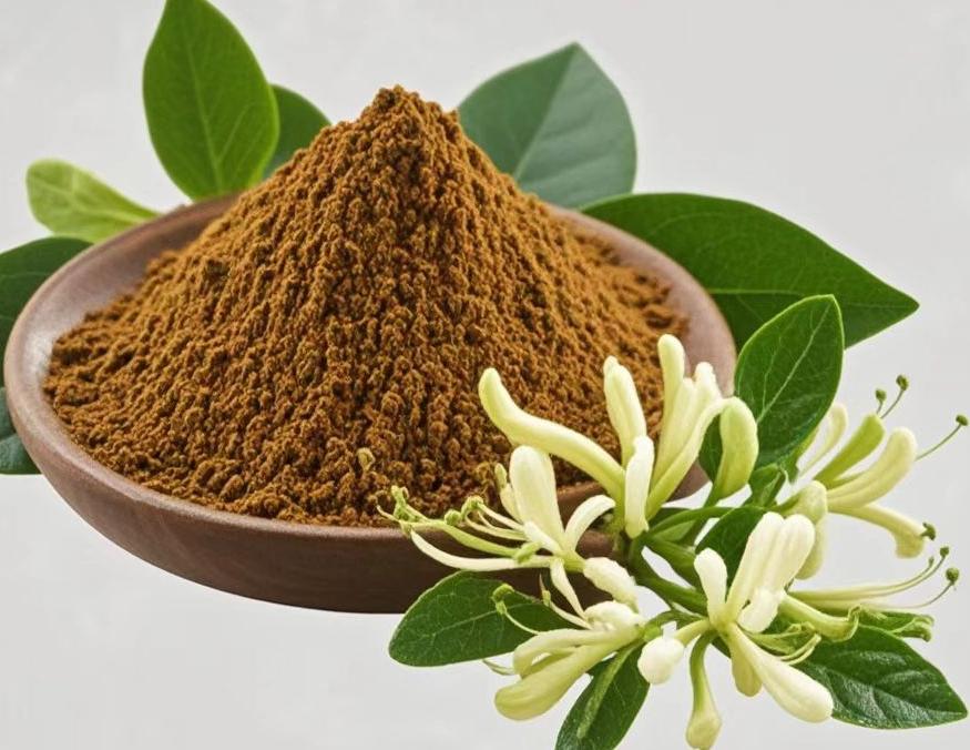 What is the Benefit of Honeysuckle Flower Extract?