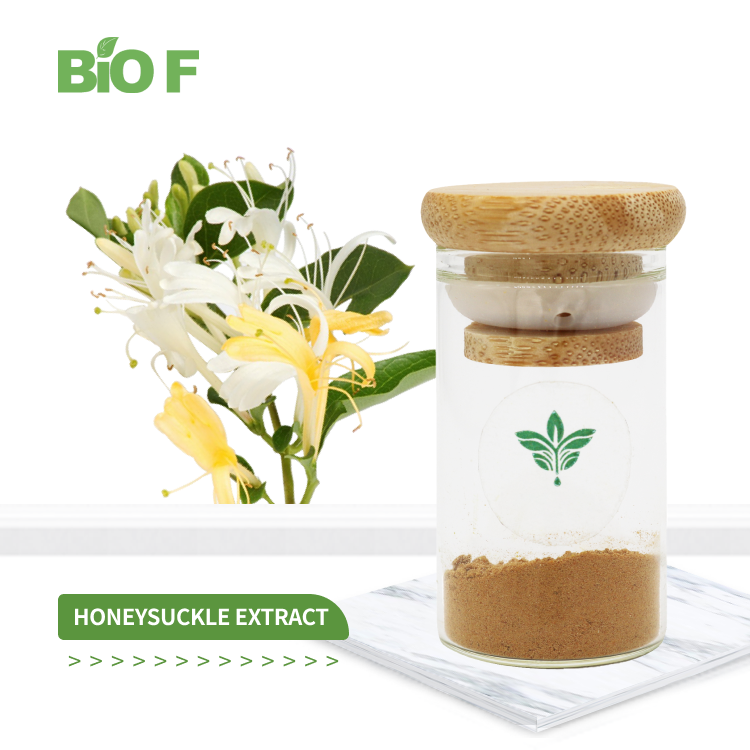 What is honeysuckle extract good for?