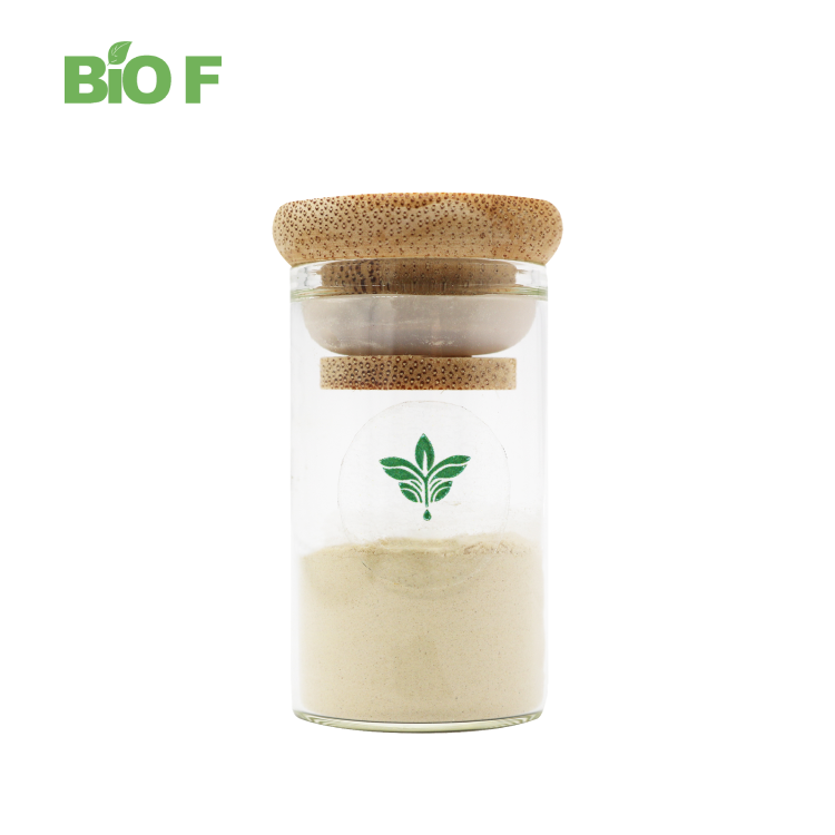 Natural Cosmetic Ingredient Ferulic Acid Powder