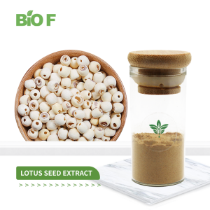 Best Price High Quality Natural Lotus Seed Extract Lotus Powder