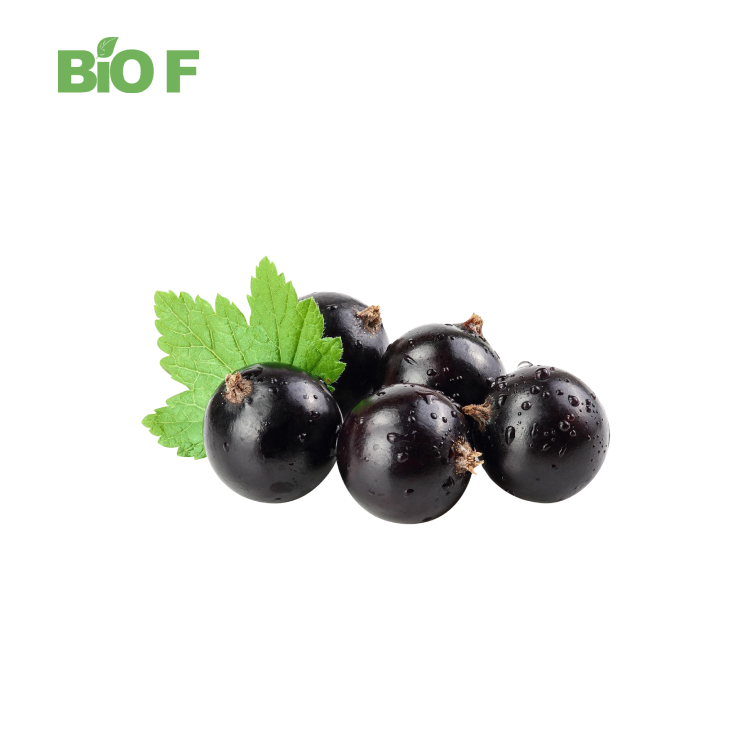 High Quality Health Care Supplement Acai Berry Extract Powder in Stock