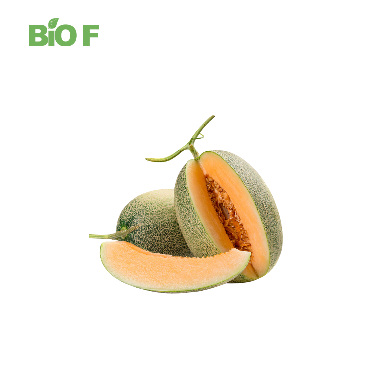 Natural Pure Freeze Dried Cantaloupe Powder Cantaloupe Juice Powder
